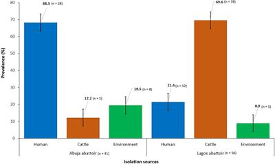 Extended-Spectrum ß-Lactamase-Producing Escherichia coli Among Humans, Beef Cattle, and Abattoir Environments in Nigeria